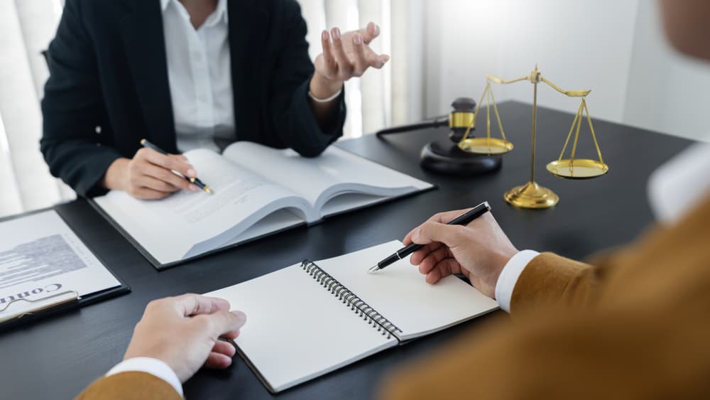 Two lawyers, dressed in formal suits, are engaged in a serious discussion about legal provisions and case determinations, analyzing documents and exchanging insights on legal matters.